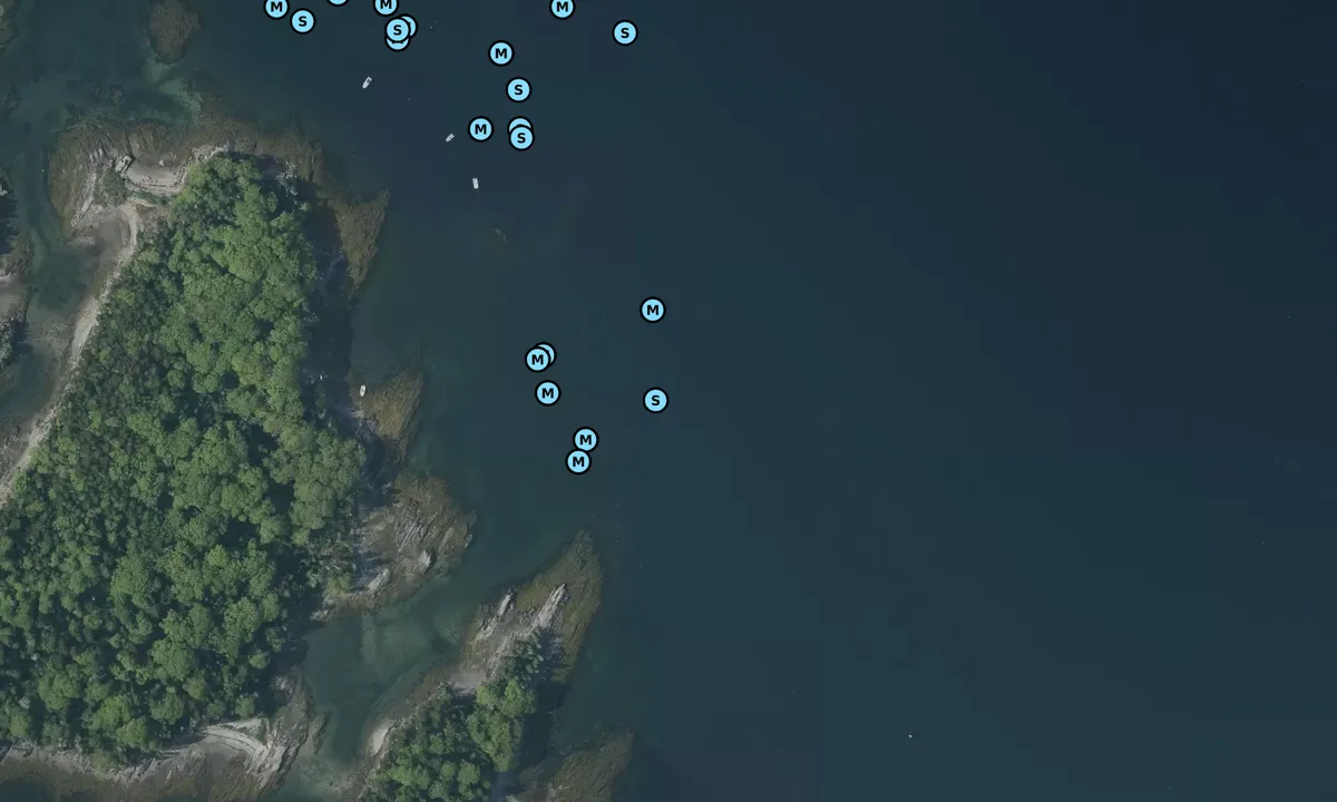 Satelite image of Little Whaleboat