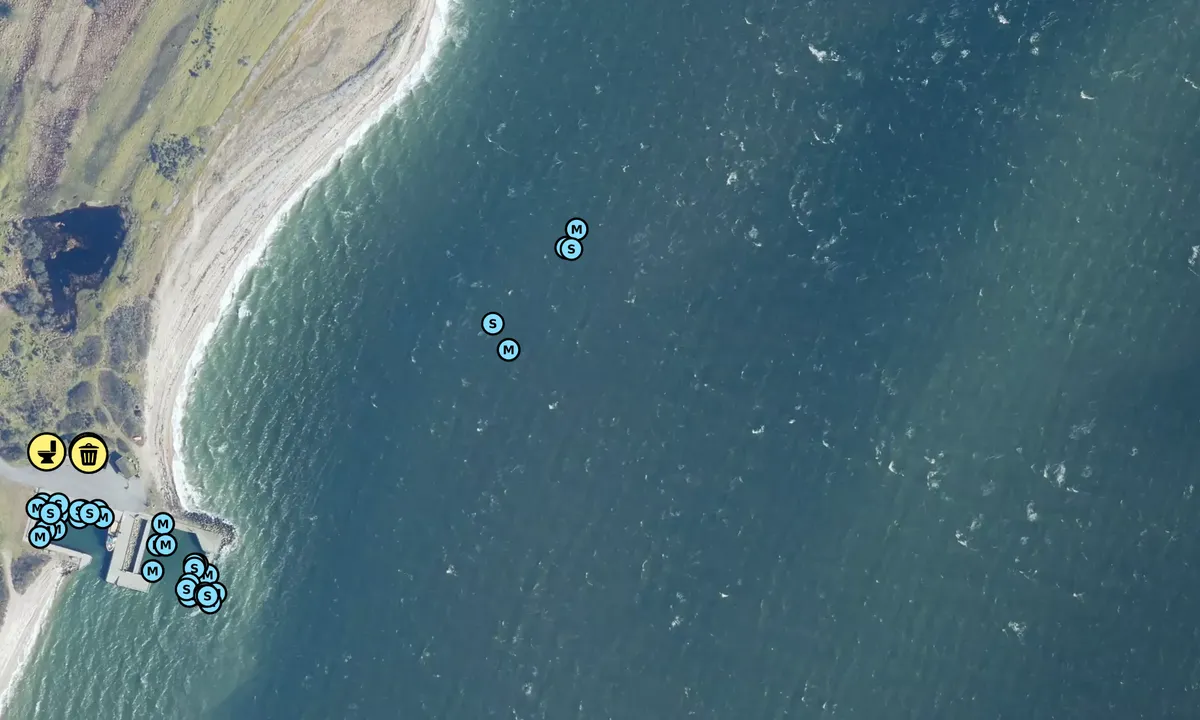Satelite image of Livø - Ranum