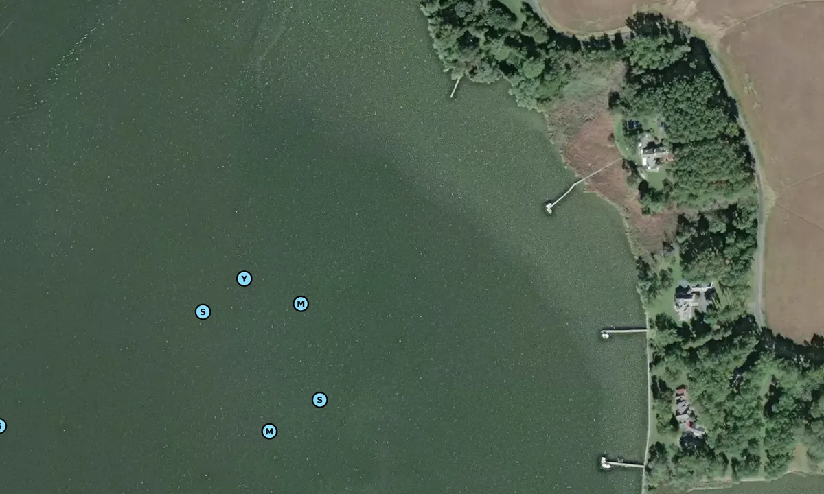 Satelite image of Lloyd Creek - Wye Acres