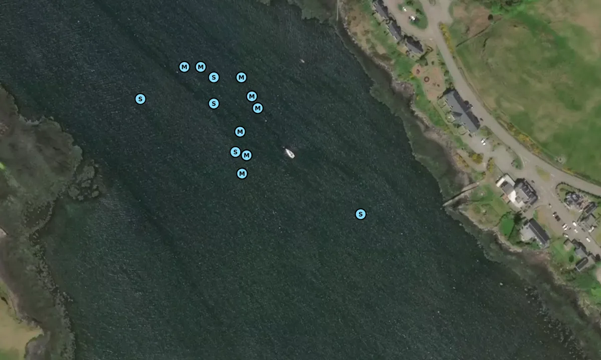 Satelite image of Loch Dunvegan moorings