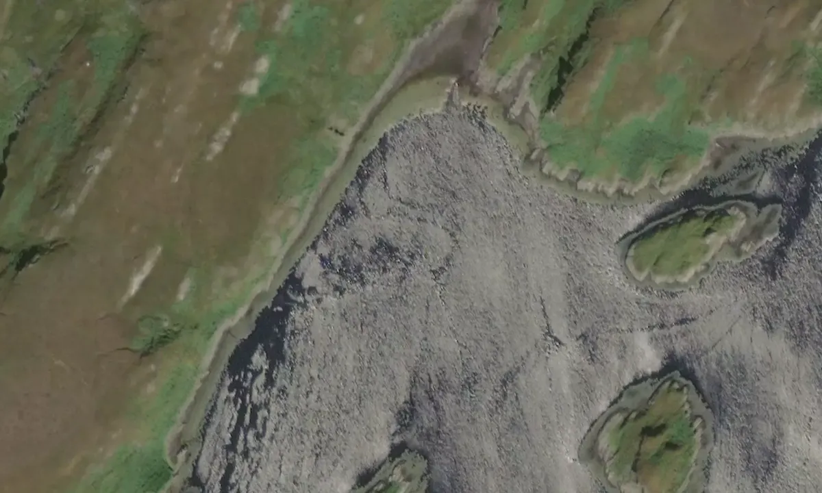 Satelite image of Loch Tarbert