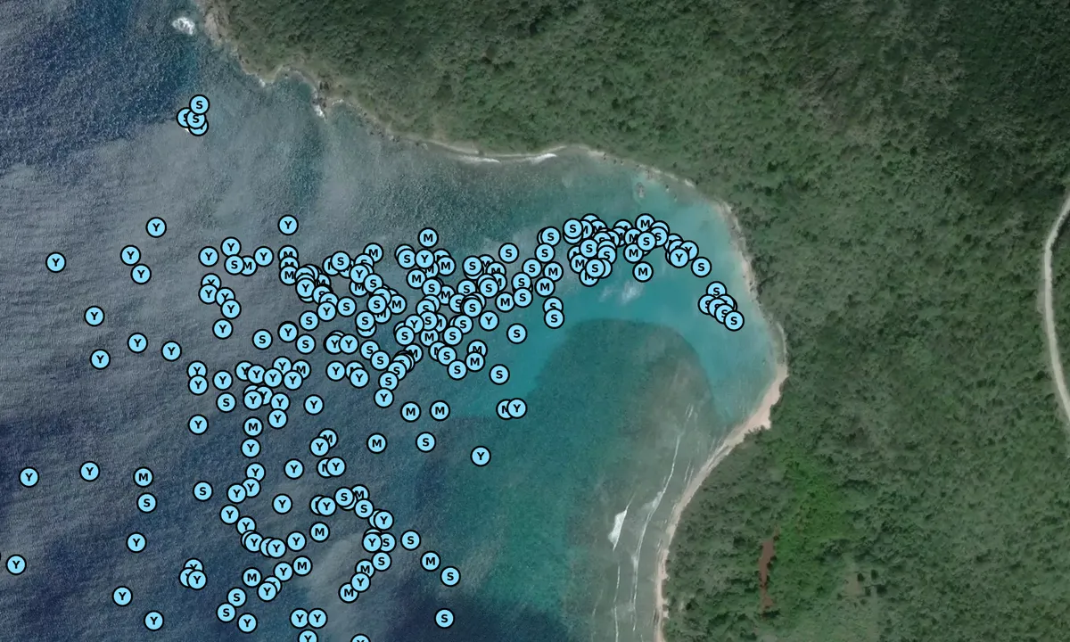 Satelite image of Long Bay