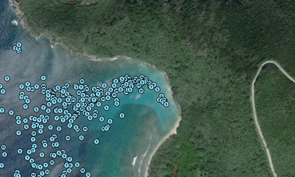 Satelite image of Long Bay - Spanish Town