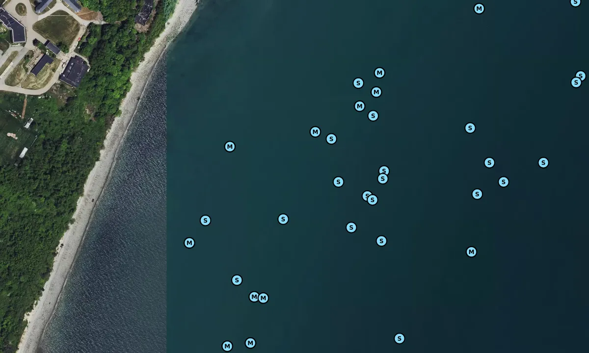 Satelite image of Long Island 1