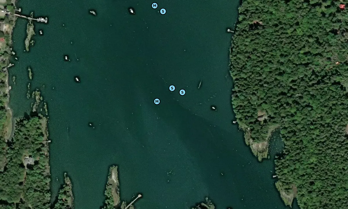 Satelite image of Long Island-Dingley