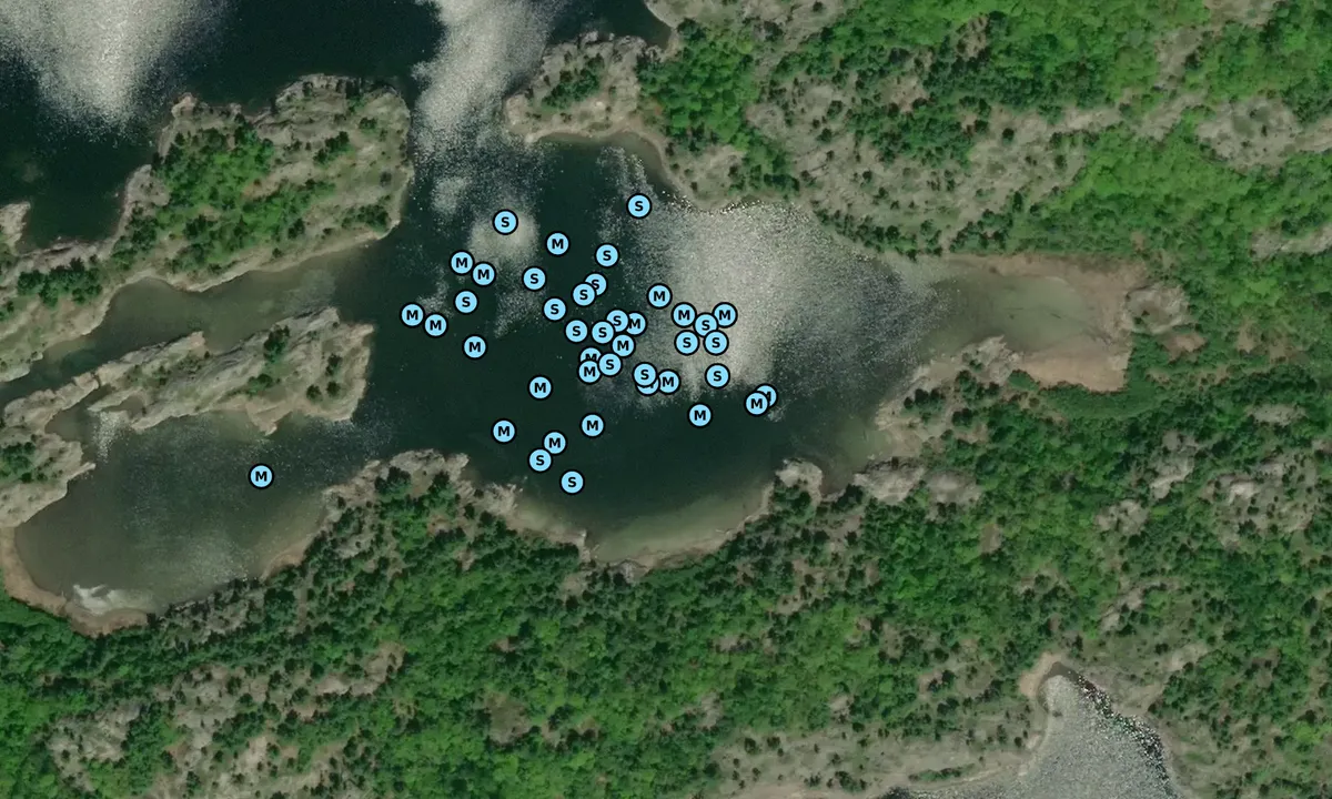 Satelite image of Long Point Cove