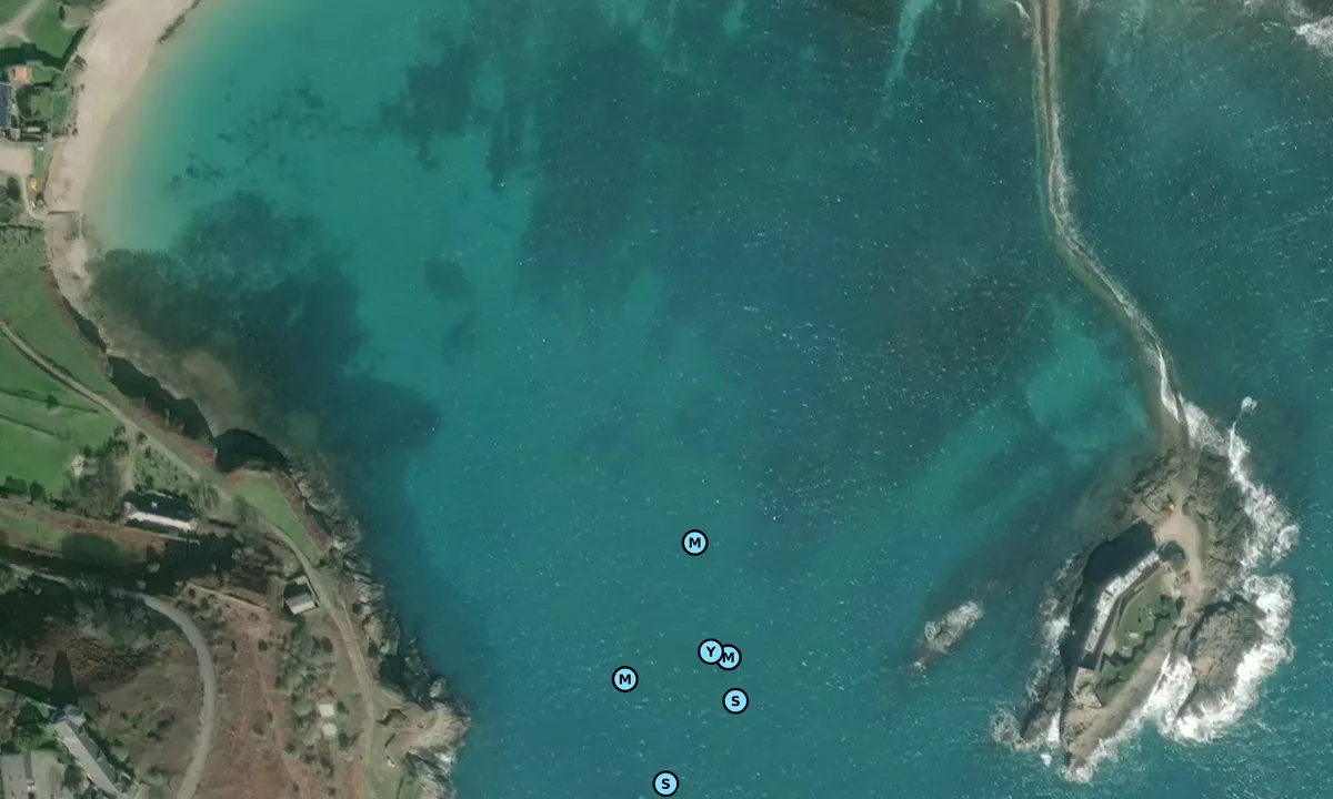 Satelite image of Longy Bay