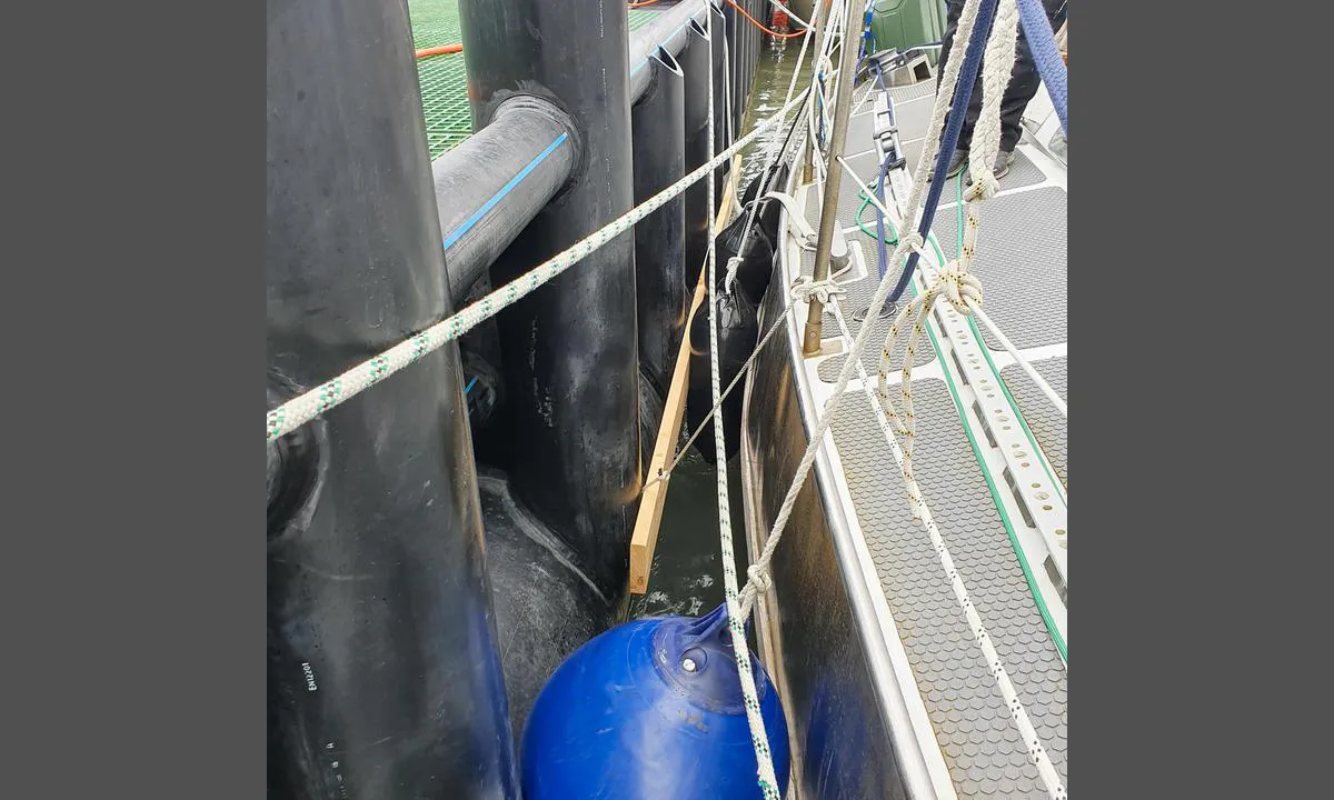 Longyearbyen: Some boats have lost their fenders here due to strong swell. Using a fender board is advisable.