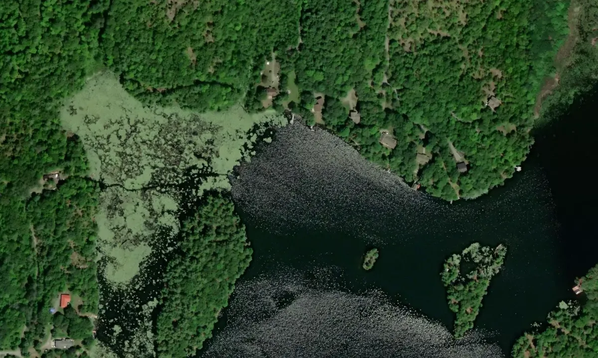 Flyfoto av Loon Lake
