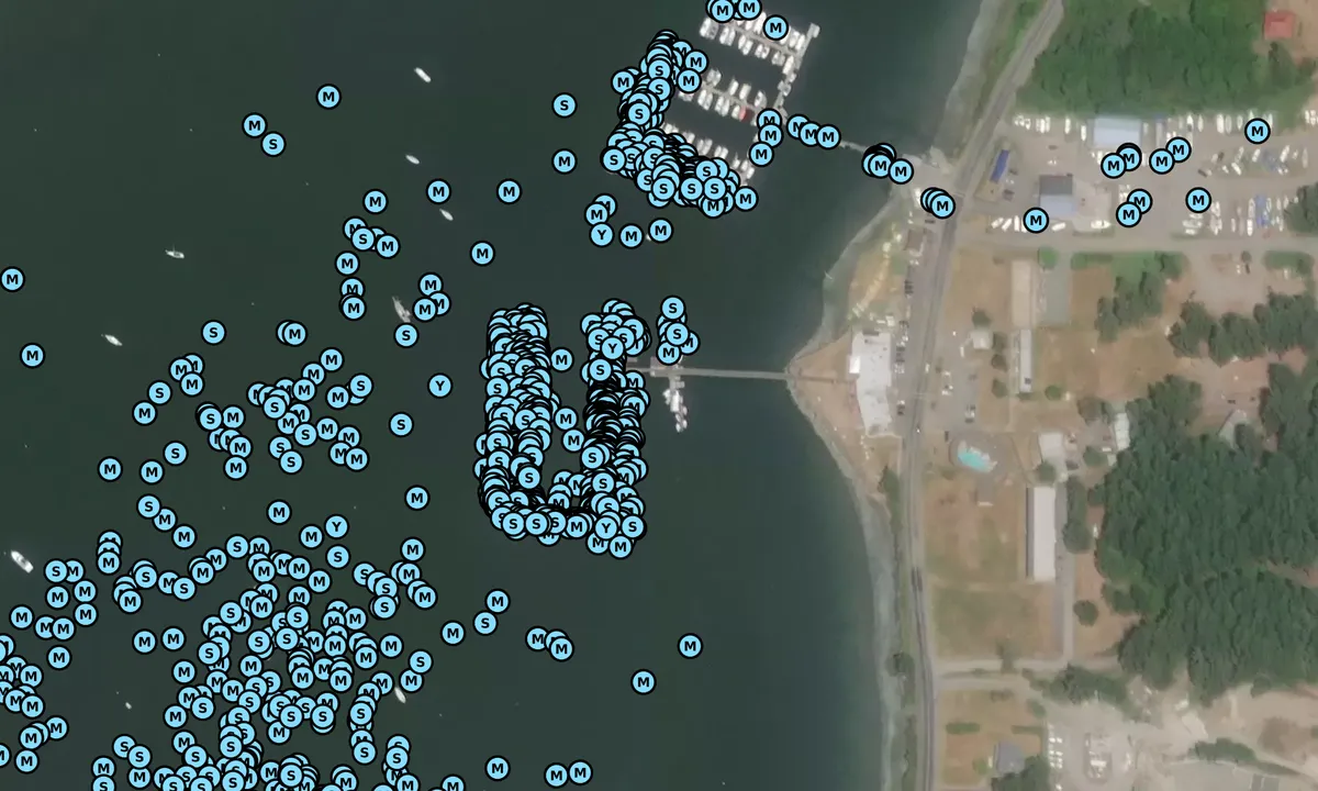 Satelite image of Lopez Islander Resort and Marina