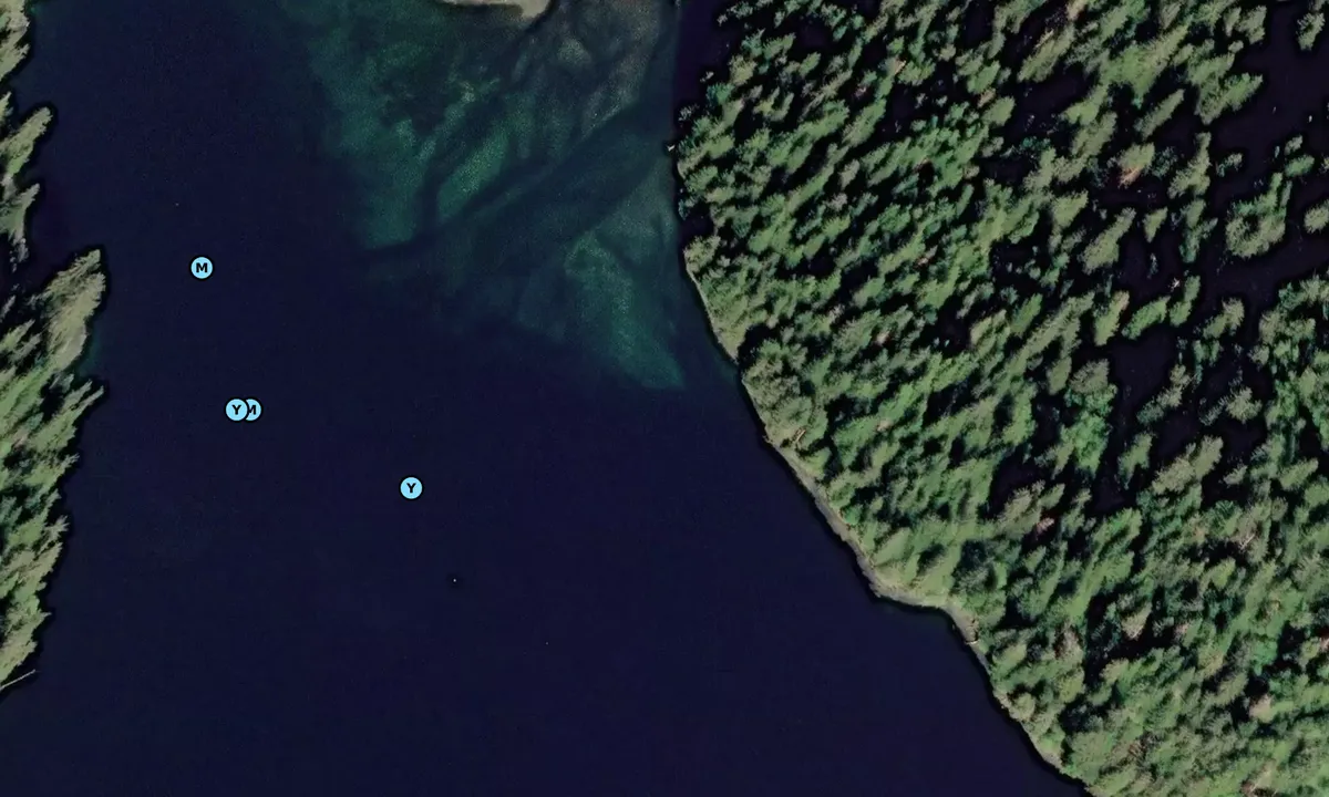 Satelite image of Lovers Cove