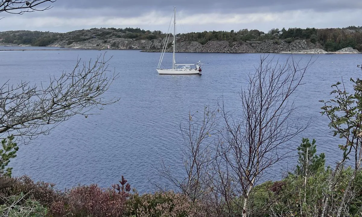Lövö - SXK Västkust bouy