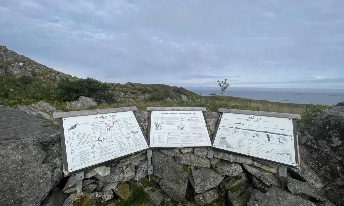 Lovund Gjestehavn: {"base": "no", "no": "Informative tavler forteller om Lundfuglen og utsikten til de omkringliggende \u00f8yene.", "se": "Informativa tavlor ber\u00e4ttar om Lundf\u00e5geln och utsikten till de omkringliggande \u00f6arna.", "en": "Informative boards provide information about Lundfuglen and the view of the surrounding islands.", "da": "Informative tavler fort\u00e6ller om Lundfuglen og udsigten til de omkringliggende \u00f8er."}