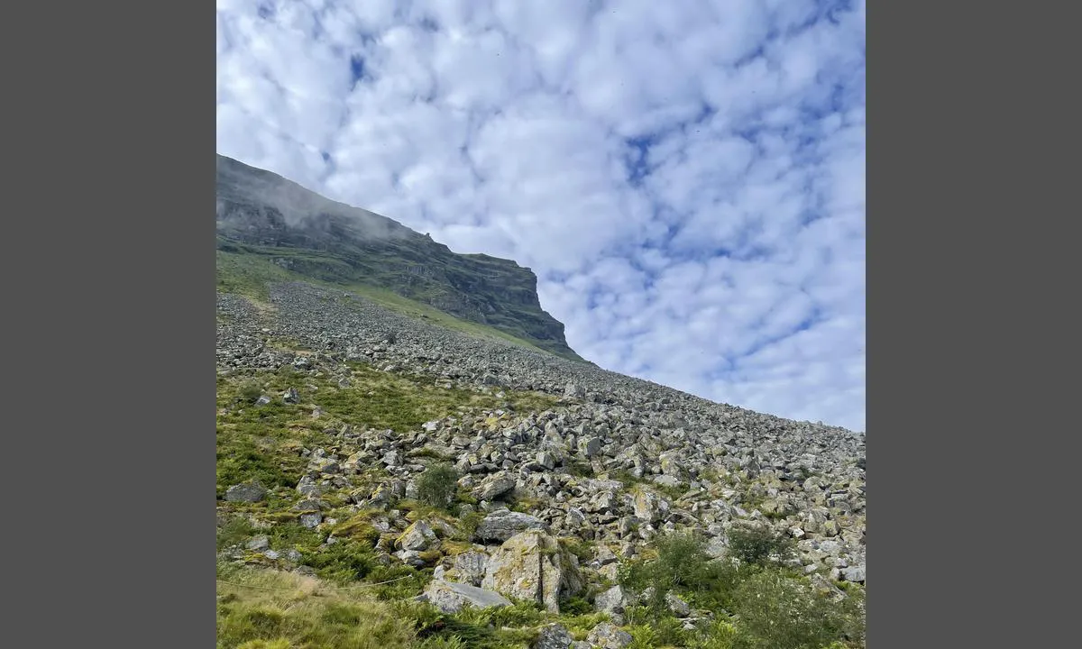 Lovund Gjestehavn: {"base": "no", "no": "Lundeura. Her kan en se Lundefugler som flyr til og fra reirhula med mat til ungen.", "se": "Lundeura. H\u00e4r kan man se lunnef\u00e5glar som flyger till och fr\u00e5n boet med mat till ungen.", "en": "Lundeura. Here, one can see Puffins flying to and from their nesting burrows with food for their chicks.", "da": "Lundeura. Her kan man se Lunder, der flyver til og fra redehulen med mad til ungen."}