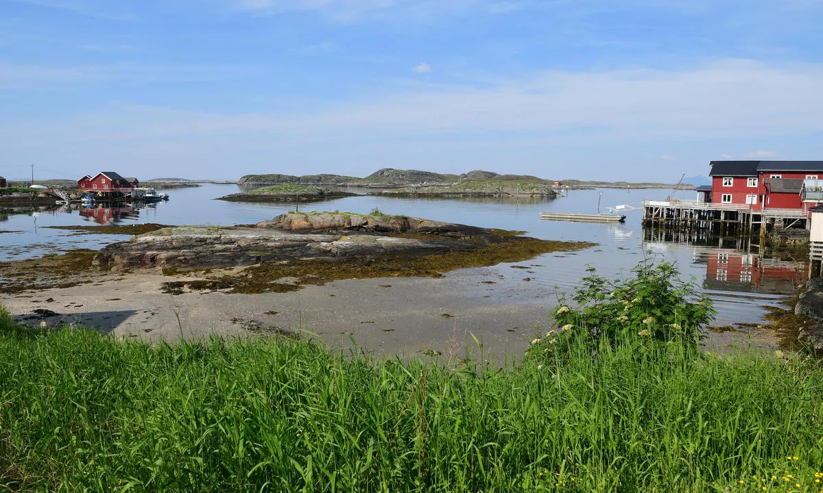 Fin havn.  Men obs vind.  Lovund er (etter vår erfaring) eit område der det kan koma veldig mykje vind pga fjellformasjonen.