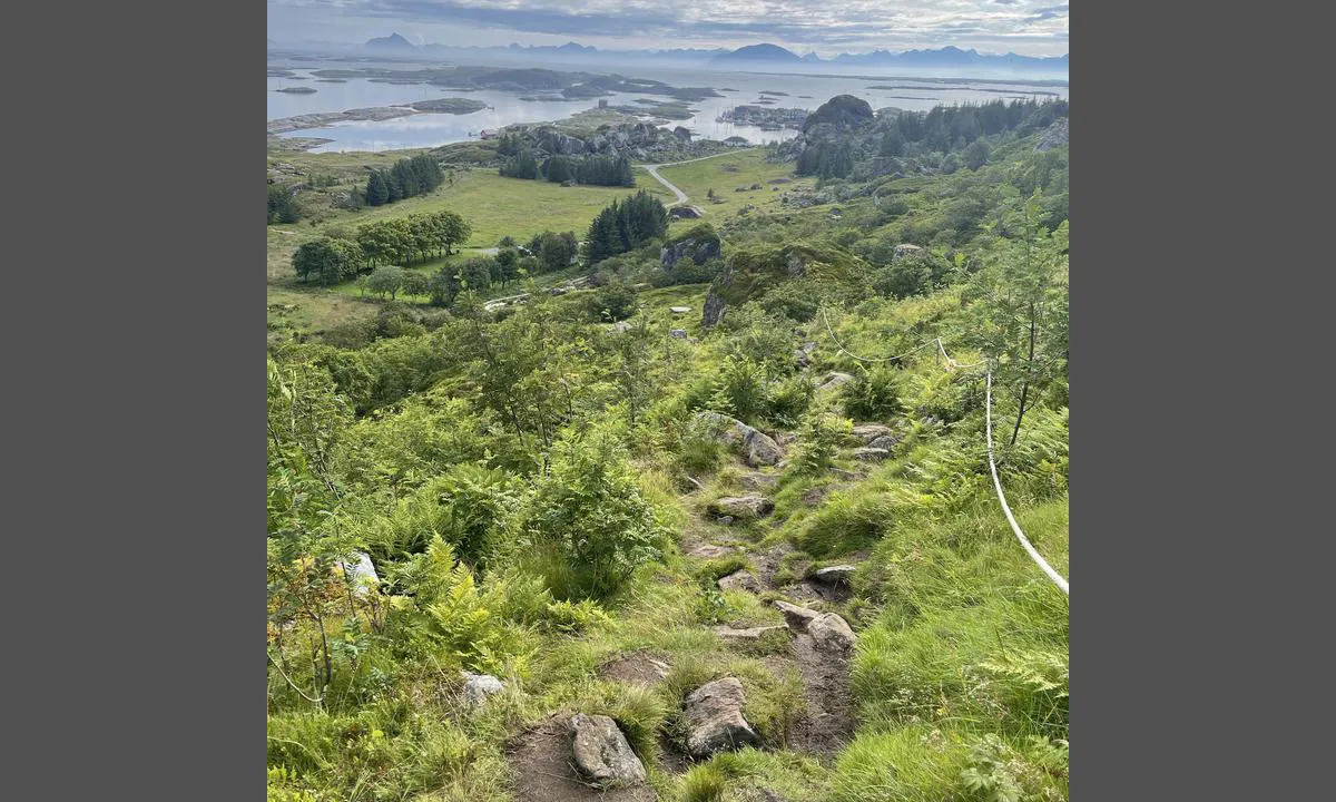 Lovund Rorbu Hotell: Siste del av stien til lundeura går i terrenget, men er enkel for de fleste. Ca 2 km fra gjestehavna