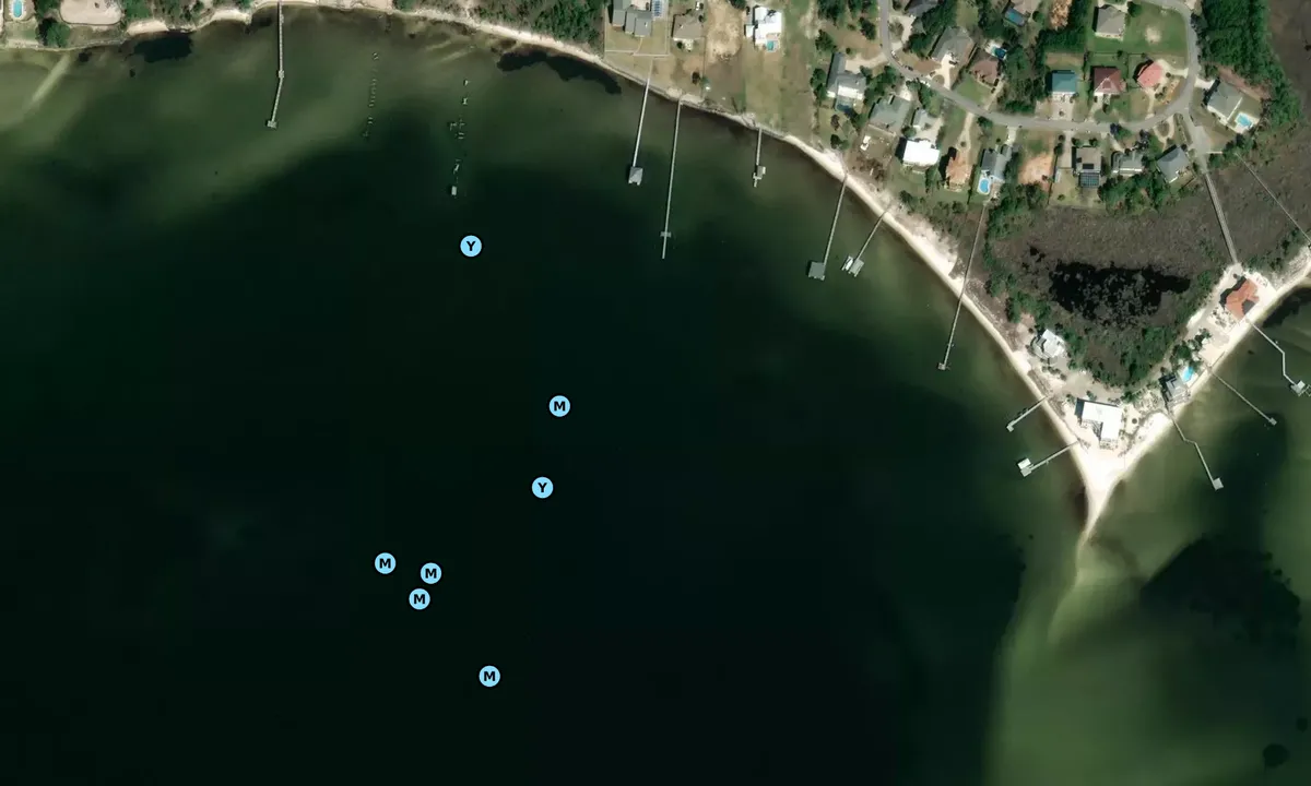 Satelite image of Lower Pritchard Long Point