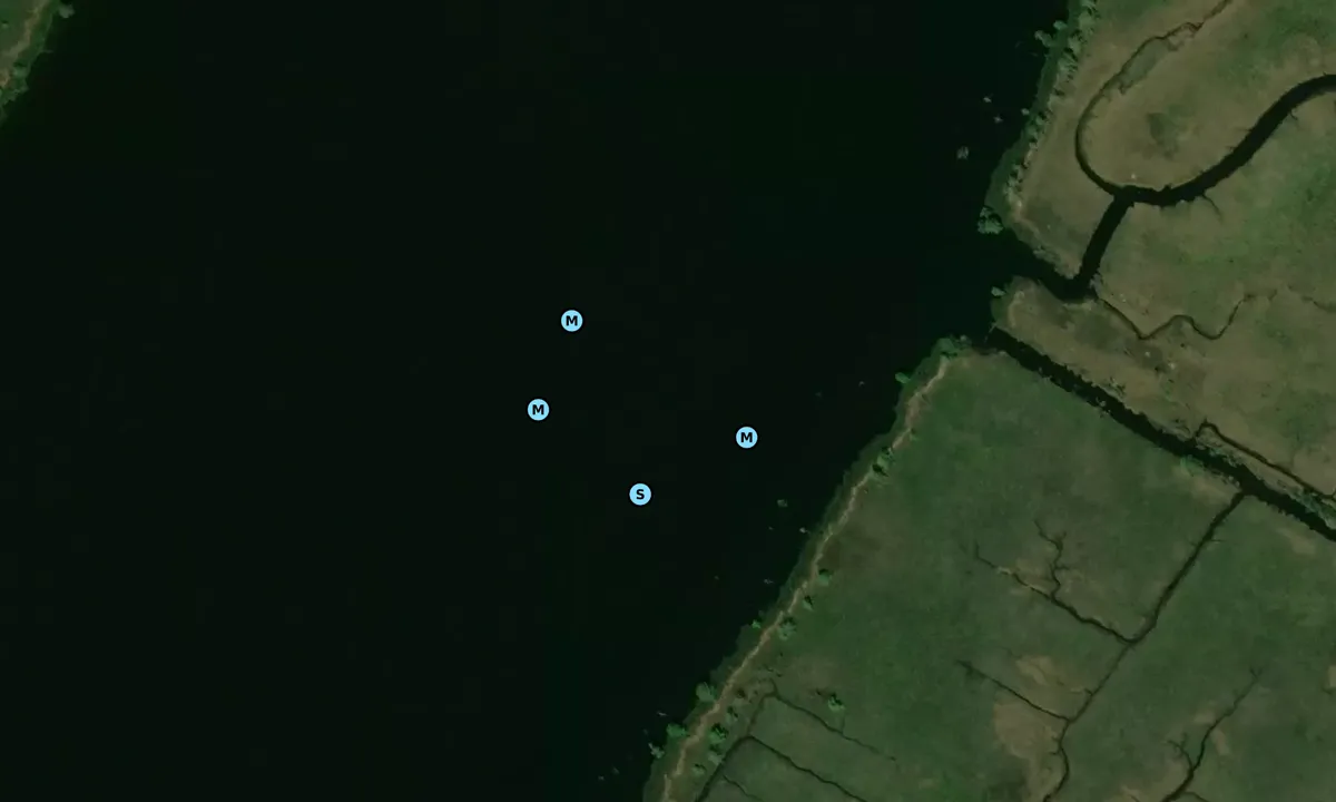 Satelite image of Lower Waccamaw River