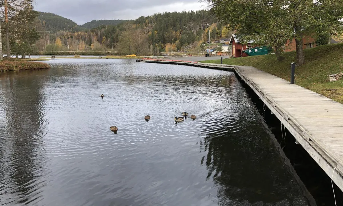 {"base": "no", "no": "I Lunde er det et ganske stort anlegg med gjestekaier.", "se": "I Lunde finns det en ganska stor anl\u00e4ggning med g\u00e4stbryggor.", "en": "In Lunde, there is a fairly large facility with guest piers.", "da": "I Lunde er der et ganske stort anl\u00e6g med g\u00e6stebroer."}