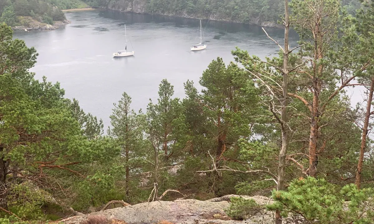 Lusekilen en regntung dag.
En ekstra naturopplevelse her var en fiskeørn som stupte og fanget fisk rett ved båten vår