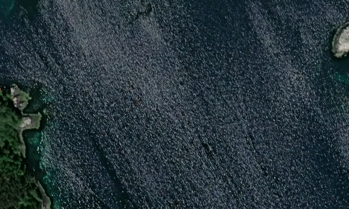 Satelite image of Lyabukta