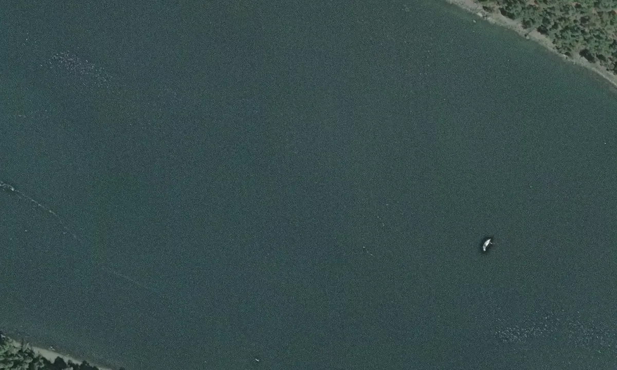 Flyfoto av Lyall Harbour