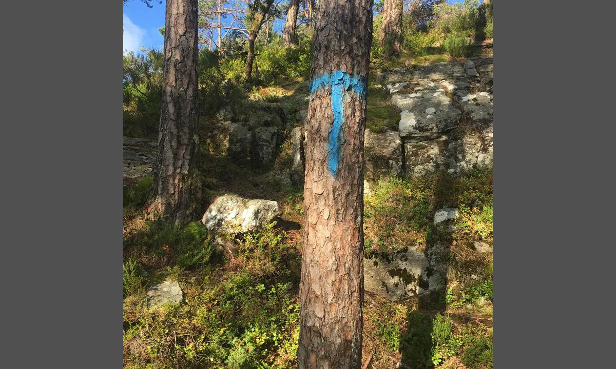 Lykjelsøy: {"base": "no", "no": "Merket tursti.", "se": "Markerad vandringsled.", "en": "Marked hiking trail.", "da": "M\u00e6rket vandresti."}