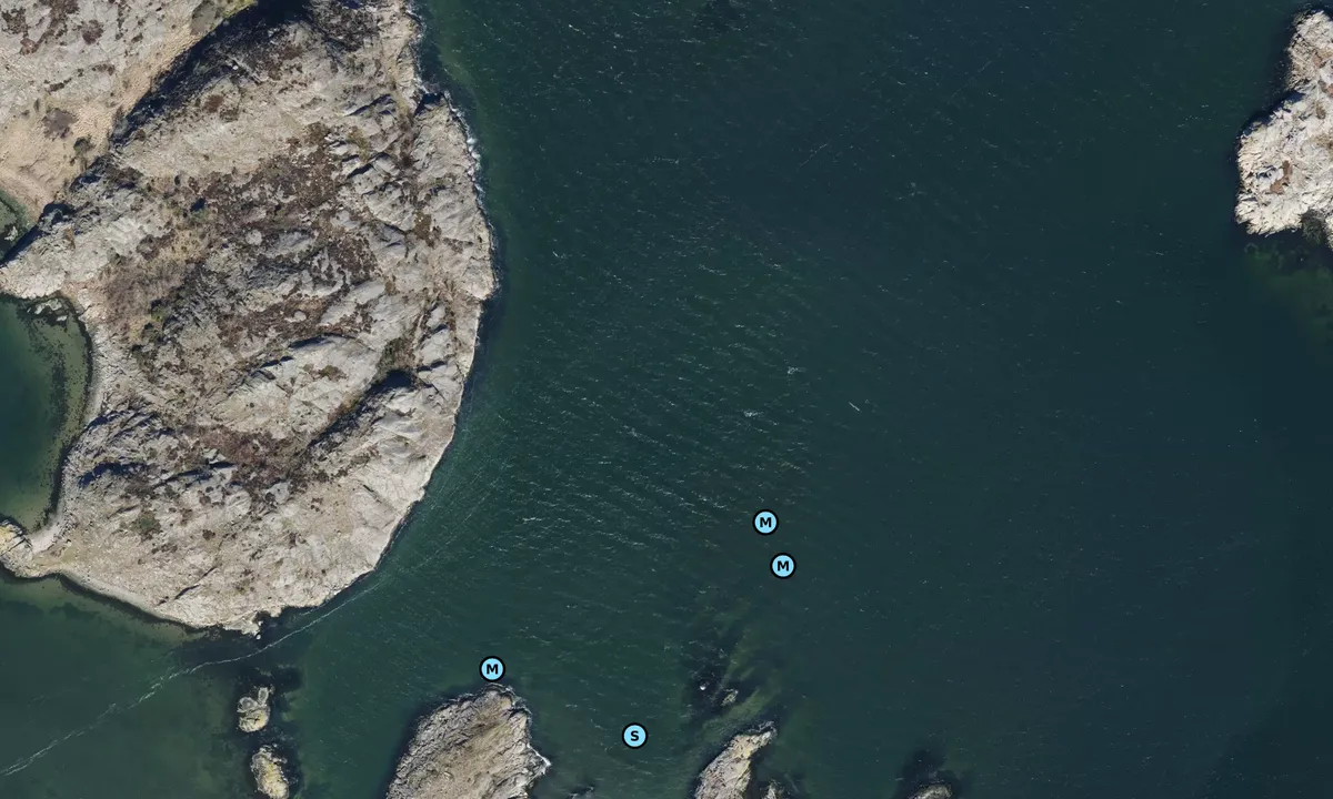 Satelite image of Lyngnholmen