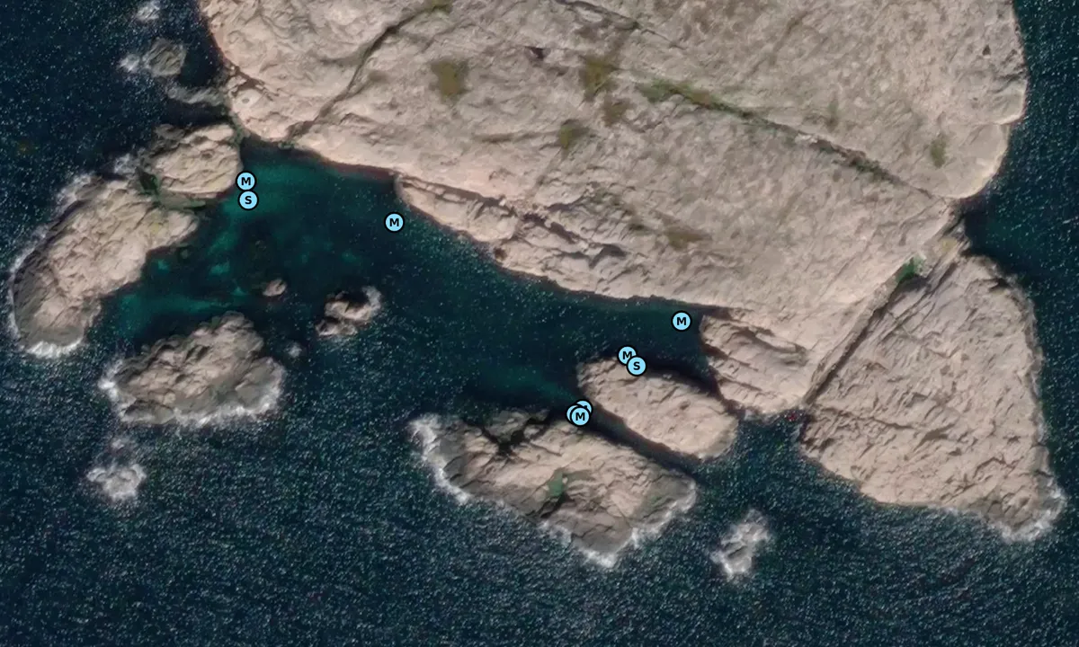 Satelite image of Lyngö