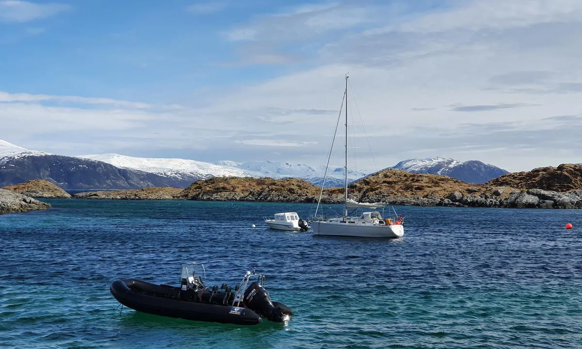 Lyngøy: {"base": "no", "no": "mange private b\u00f8yer, ankring lengre ut i sandbunn.", "se": "m\u00e5nga privata bojar, ankare l\u00e4ngre ut p\u00e5 sandbotten.", "en": "many private buoys, anchoring further out on a sandy bottom.", "da": "mange private b\u00f8jer, ankering l\u00e6ngere ud i sandbund."}
