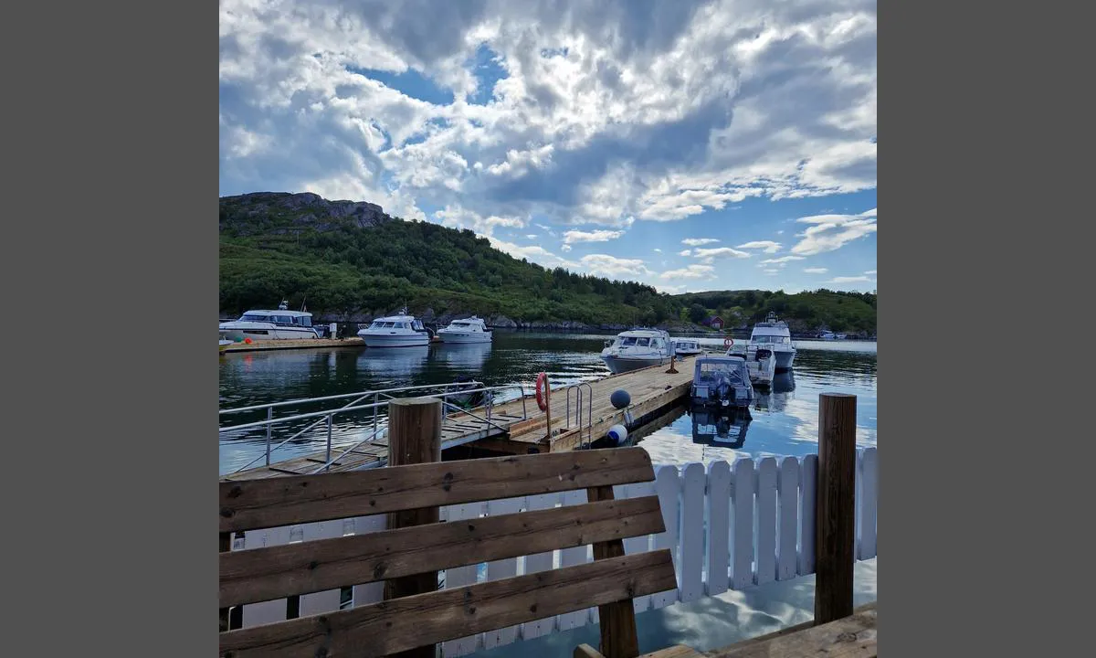 Lyngvågen kafe: {"base": "no", "no": "Fin havn med god plass ved bryggene.", "se": "Fin hamn med gott om plats vid bryggorna.", "en": "Nice harbor with ample space at the docks.", "da": "Fin havn med god plads ved bryggerne."}