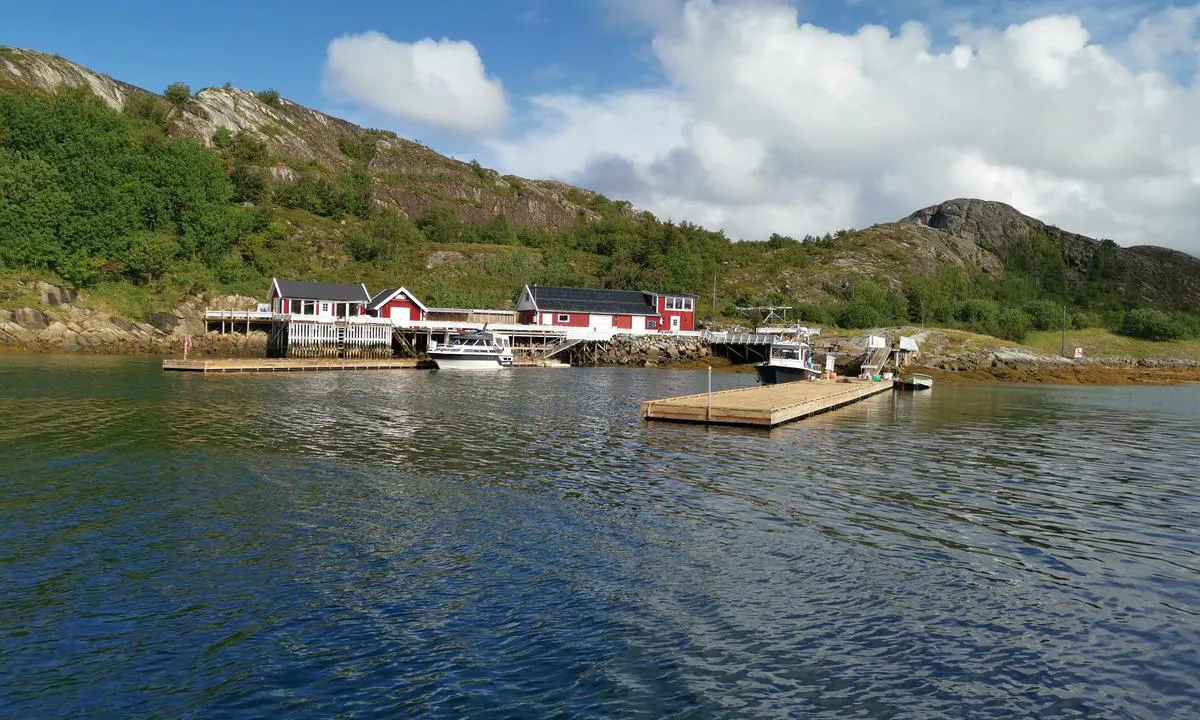 Lyngvågen kafe