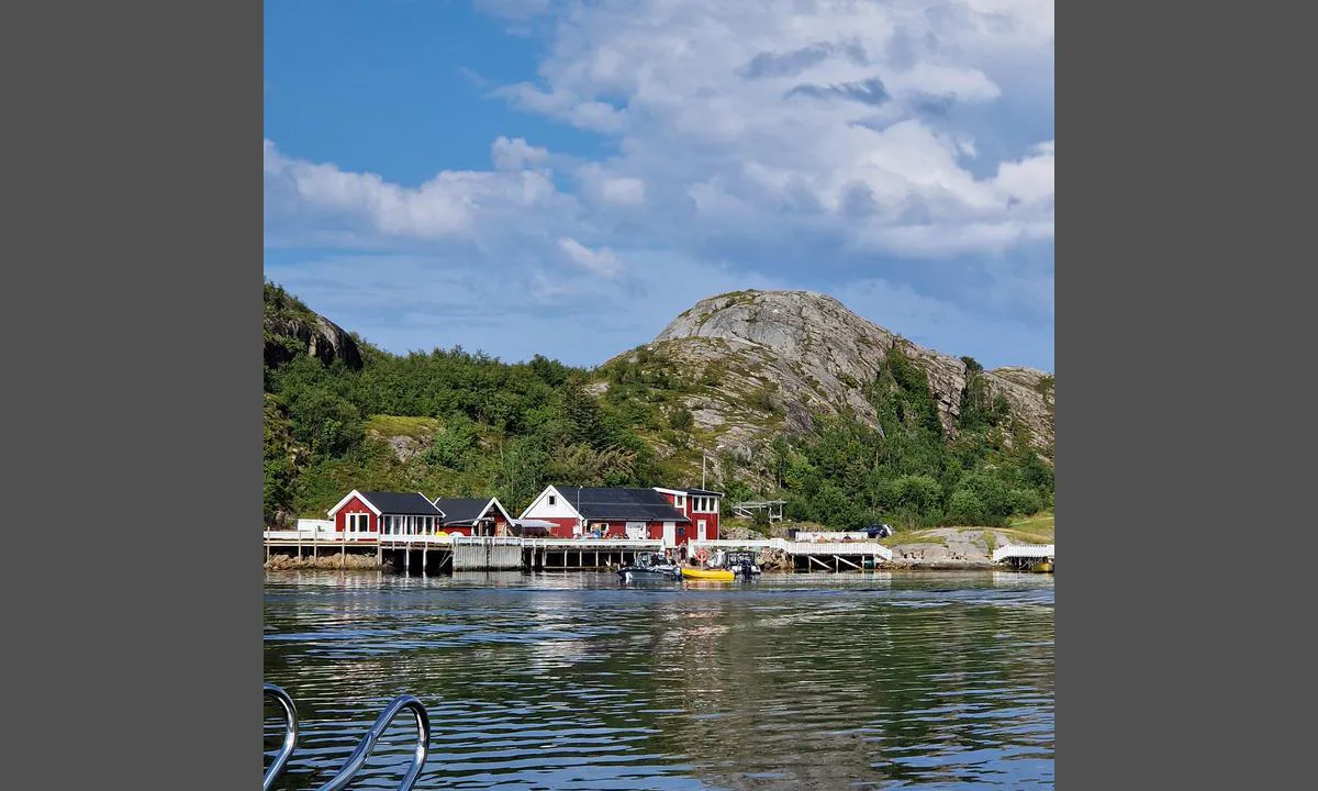 Lyngvågen kafe: {"base": "no", "no": "Enkel adkomst til brygger og kaf\u00e9.", "se": "Enkel \u00e5tkomst till bryggor och kaf\u00e9.", "en": "Easy access to jetties and caf\u00e9.", "da": "Enkel adgang til broer og caf\u00e9."}