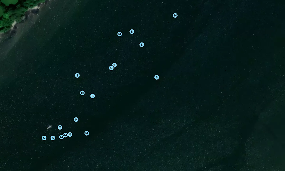 Satelite image of Lynher River