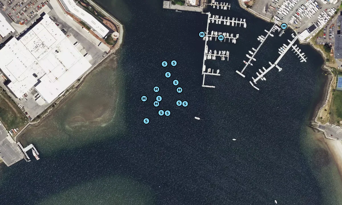 Satelite image of Lynn Turning Basin