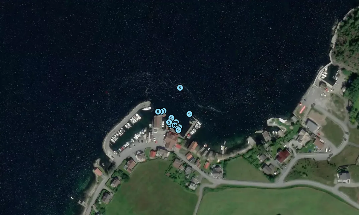 Satelite image of Lysefjorden Marina