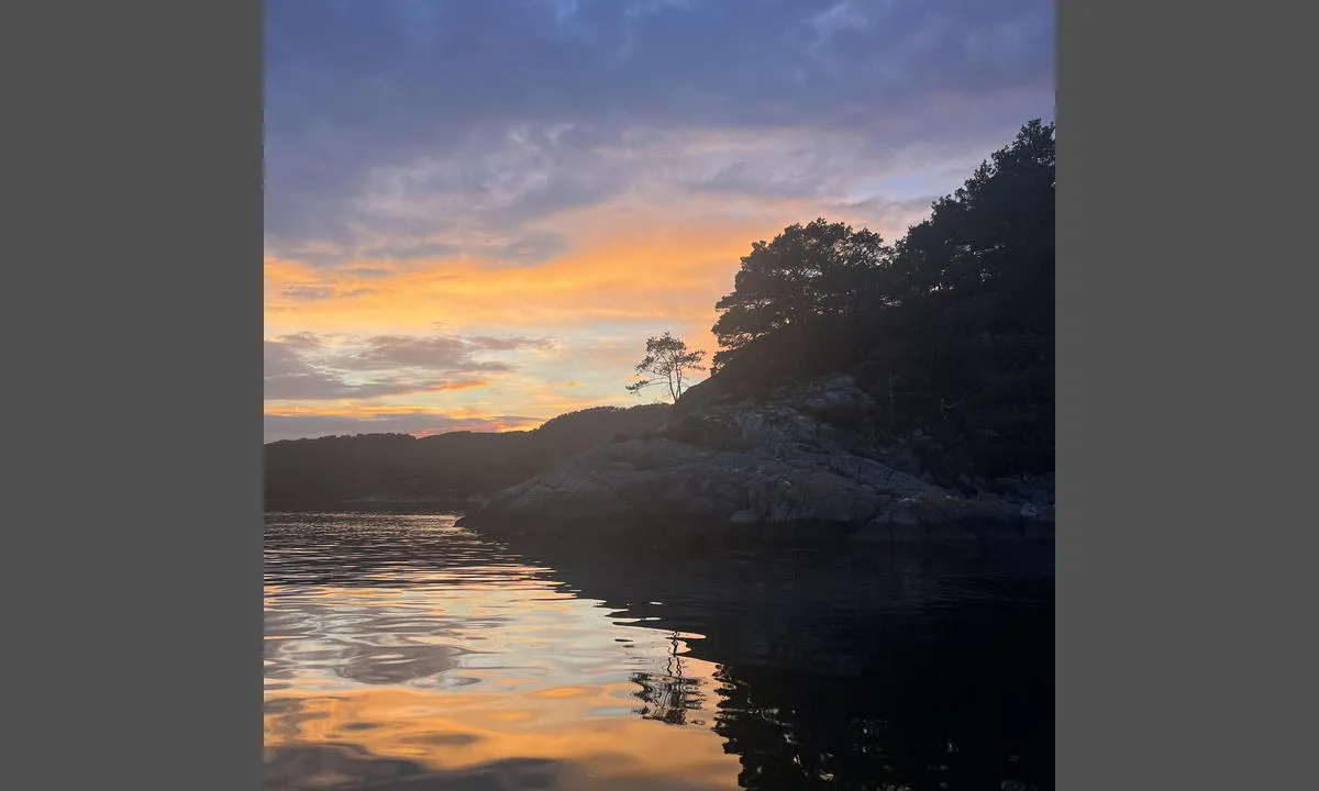 Lysevågen