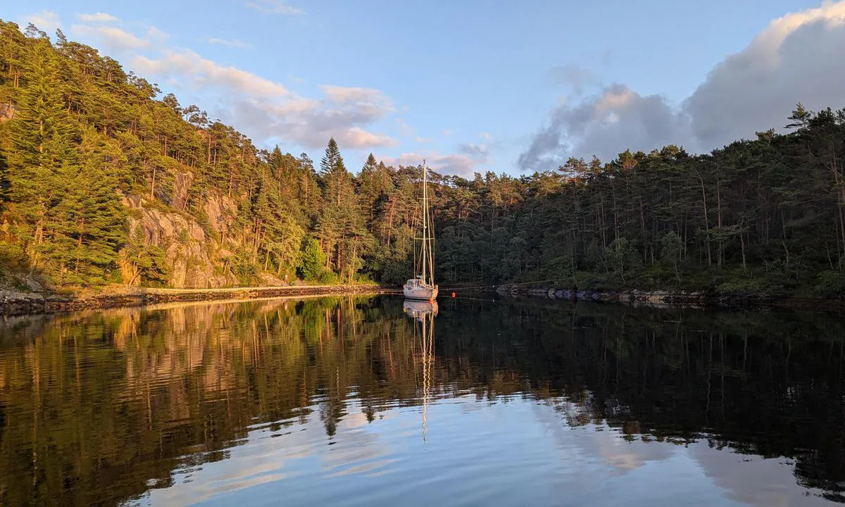 Lysevågen