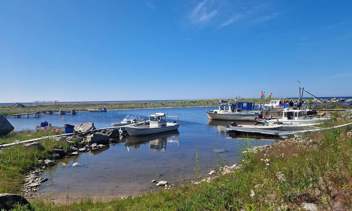 Maakalla: {"base": "en", "no": "Utsikt over fisker- og lokalhavnen p\u00e5 vestsiden.", "se": "Utsikt \u00f6ver fiskare och lokal hamn p\u00e5 v\u00e4stra sidan.", "en": "View of the fisher and local harbour on the west side.", "da": "Udsigt over fisker- og lokalhavnen p\u00e5 vestsiden.", "fr": "Vue du port de p\u00eache et du port local sur le c\u00f4t\u00e9 ouest.", "de": "Blick auf den Fischer- und Ortshafen auf der Westseite.", "es": "Vista del puerto pesquero y local en el lado oeste.", "it": "Vista del porto dei pescatori e del porto locale sul lato ovest.", "pt": "Vista do pescador e do porto local no lado oeste.", "nl": "Uitzicht op de vissers- en lokale haven aan de westzijde.", "pl": "Widok na port rybacki i lokalny po zachodniej stronie.", "uk": "\u0412\u0438\u0434 \u043d\u0430 \u0440\u0438\u0431\u0430\u0446\u044c\u043a\u0443 \u0456 \u043c\u0456\u0441\u0446\u0435\u0432\u0443 \u0433\u0430\u0432\u0430\u043d\u044c \u0437 \u0437\u0430\u0445\u0456\u0434\u043d\u043e\u0457 \u0441\u0442\u043e\u0440\u043e\u043d\u0438.", "ro": "Vedere a portului de pescari \u0219i a portului local pe partea de vest.", "tr": "Bal\u0131k\u00e7\u0131 ve yerel liman\u0131n bat\u0131 taraf\u0131ndaki g\u00f6r\u00fcn\u00fcm\u00fc.", "el": "\u0398\u03ad\u03b1 \u03c4\u03bf\u03c5 \u03b1\u03bb\u03b9\u03b5\u03c5\u03c4\u03b9\u03ba\u03bf\u03cd \u03ba\u03b1\u03b9 \u03c4\u03bf\u03c0\u03b9\u03ba\u03bf\u03cd \u03bb\u03b9\u03bc\u03b1\u03bd\u03b9\u03bf\u03cd \u03c3\u03c4\u03b7 \u03b4\u03c5\u03c4\u03b9\u03ba\u03ae \u03c0\u03bb\u03b5\u03c5\u03c1\u03ac.", "cs": "Pohled na ryb\u00e1\u0159sk\u00fd a m\u00edstn\u00ed p\u0159\u00edstav na z\u00e1padn\u00ed stran\u011b.", "hu": "Kil\u00e1t\u00e1s a hal\u00e1szati \u00e9s helyi kik\u00f6t\u0151re a nyugati oldalon.", "fi": "N\u00e4kym\u00e4 kalastaja- ja satamakaupungista l\u00e4nsipuolella.", "bg": "\u0418\u0437\u0433\u043b\u0435\u0434 \u043a\u044a\u043c \u0440\u0438\u0431\u0430\u0440\u0441\u043a\u043e\u0442\u043e \u0438 \u043c\u0435\u0441\u0442\u043d\u043e\u0442\u043e \u043f\u0440\u0438\u0441\u0442\u0430\u043d\u0438\u0449\u0435 \u043e\u0442 \u0437\u0430\u043f\u0430\u0434\u043d\u0430\u0442\u0430 \u0441\u0442\u0440\u0430\u043d\u0430.", "sr": "Pogled na ribarsku i lokalnu luku sa zapadne strane.", "et": "Vaade kaluri- ja kohalikule sadamale l\u00e4\u00e4nek\u00fcljel.", "lv": "Skats uz zvejnieku un viet\u0113jo ostu rietumu pus\u0113.", "lt": "Vakar\u0173 pus\u0117je esantis \u017evej\u0173 ir vietinis uostas."}