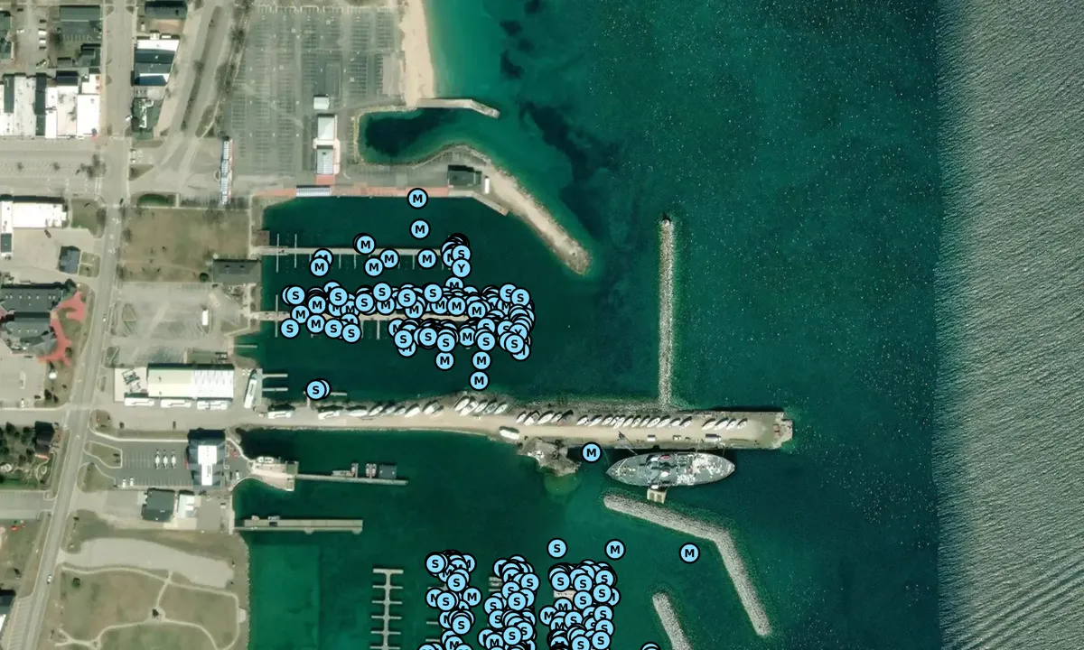 Satelite image of Mackinaw City Marina