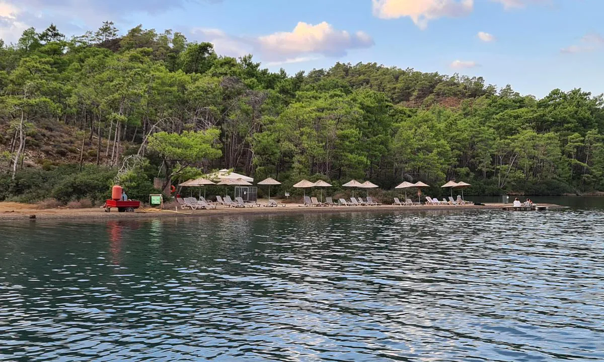 Maden Cove (Amazon - Kucuk Gunluk)