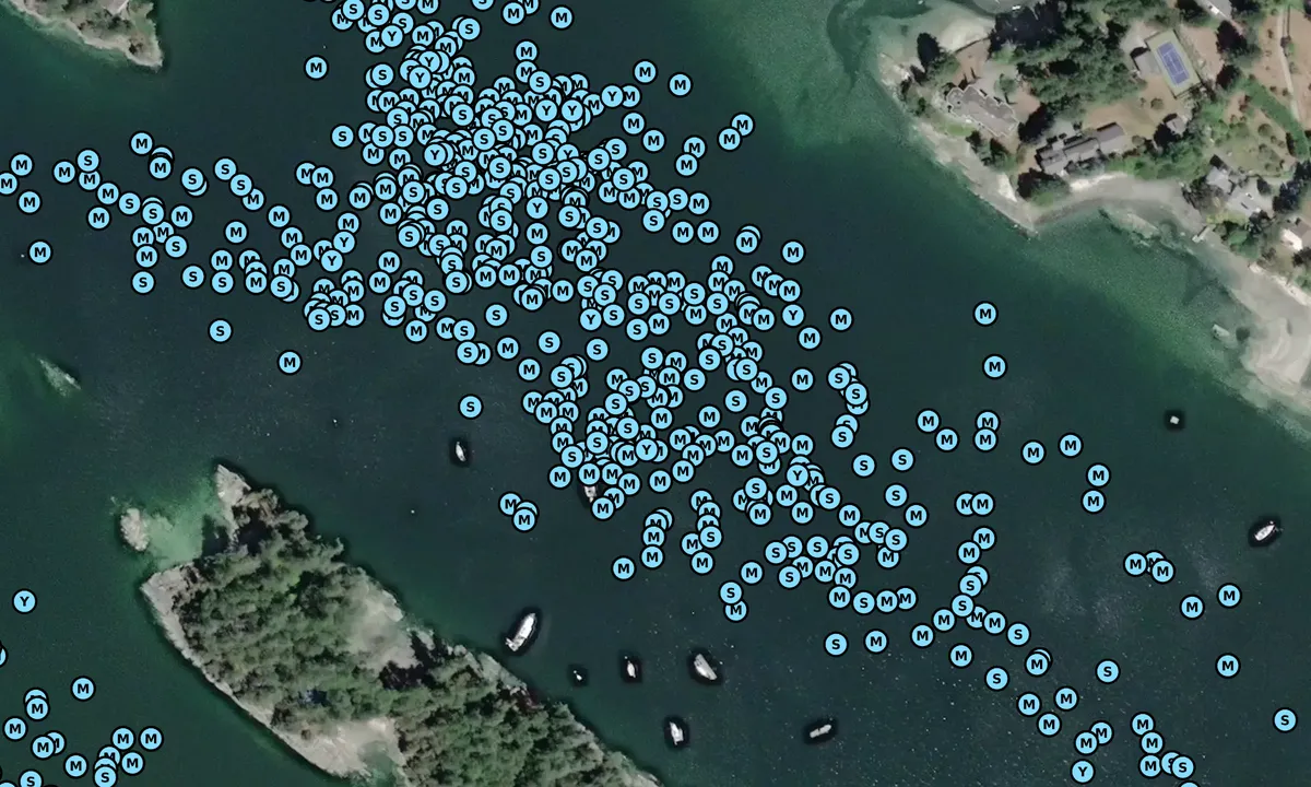 Satelite image of Madrona Bay