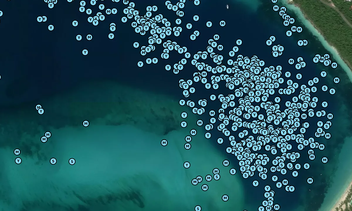 Satelite image of Magen's Bay