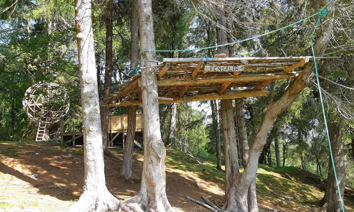 Magerøya: {"base": "no", "no": "Trehytter og ''Glamper'' i skogen.", "se": "Tr\u00e4hytter och ''Glamper'' i skogen.", "en": "Tree cabins and 'Glampers' in the forest.", "da": "Tr\u00e6hytter og ''Glamper'' i skoven."}