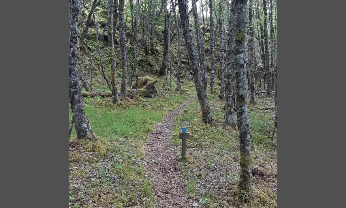 Magerøya: Gode og godt merkede stier på øya, lett å gå for store og små.