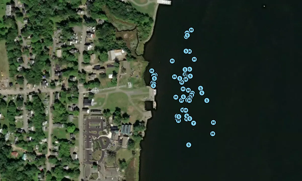 Satelite image of Maine Maritime Museum