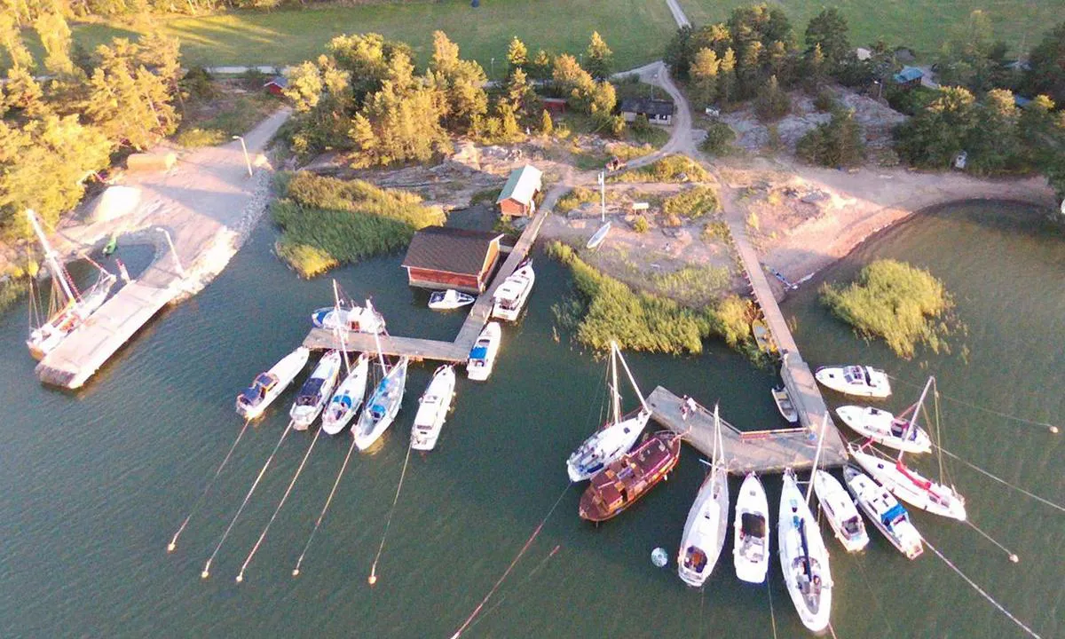 Maisaari