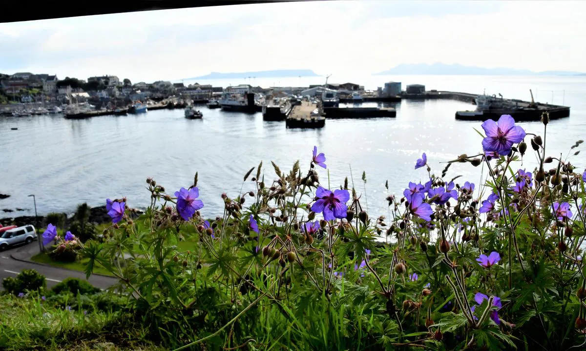 Mallaig Harbour Authority: {"base": "no", "no": "Maillag.  Oversiktsfoto.  Det er nokre merka turstiar i omr\u00e5det", "se": "Maillag. \u00d6versiktsfoto. Det finns n\u00e5gra markerade vandringsleder i omr\u00e5det", "en": "Mail building. Overview photo. There are some marked hiking trails in the area.", "da": "Maillag. Oversigtsfoto. Der er nogle markerede vandrestier i omr\u00e5det"}