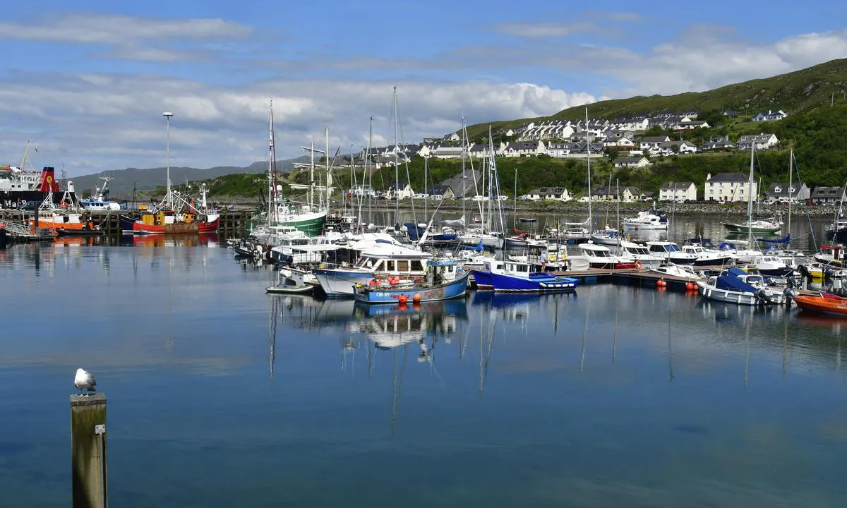 {"base": "no", "no": "Havna i Mallaig", "se": "Hamnen i Mallaig", "en": "The harbor in Mallaig", "da": "Havnen i Mallaig"}