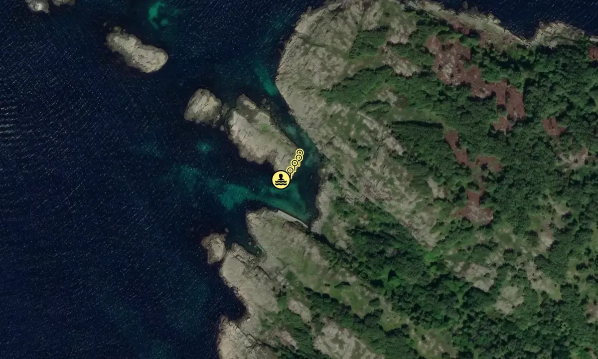 Satelite image of Malungdalsholman